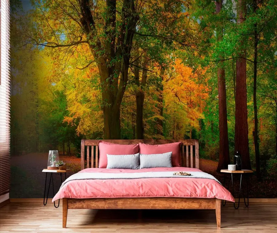 Fotobehang Begin van de herfst u08547