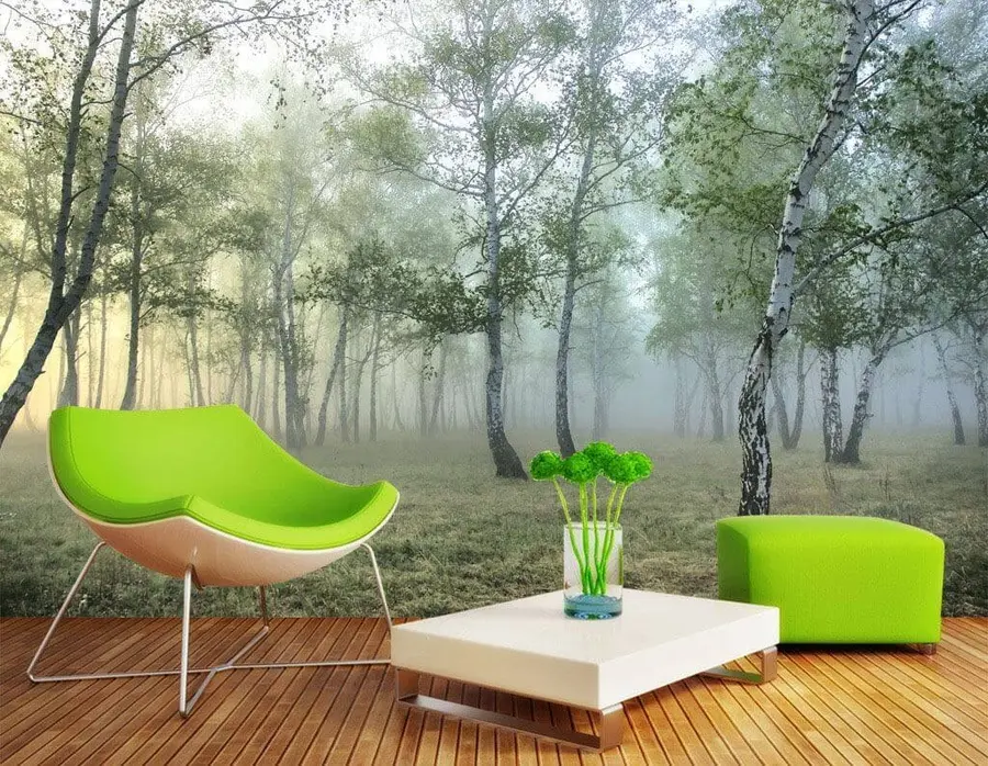 Fotobehang Mist berkenbos u25820