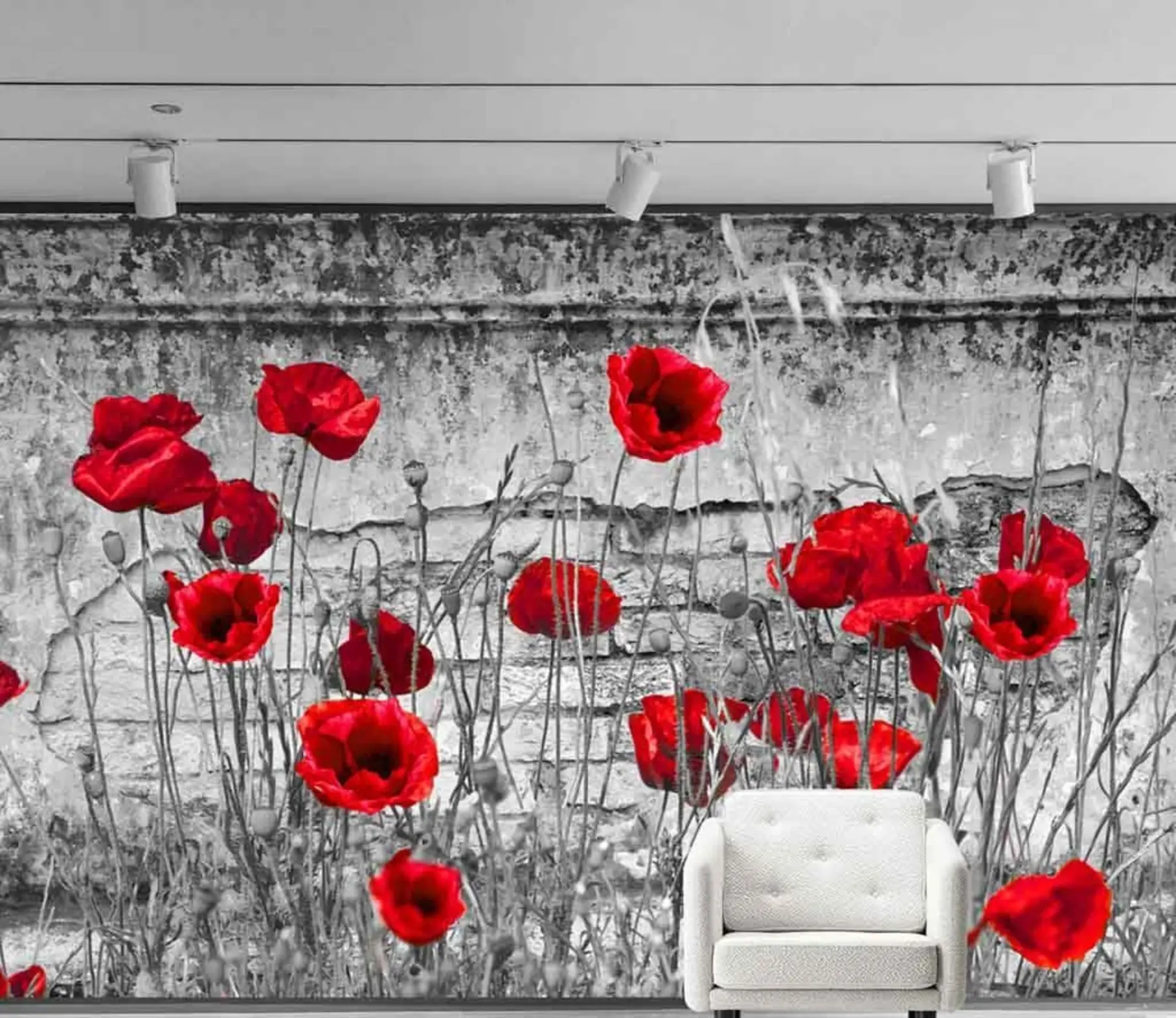Fotobehang Heldere papavers op de achtergrond van de muur u40552