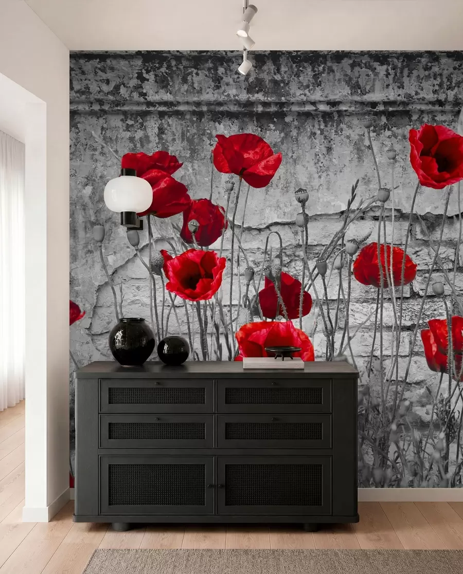 Fotobehang Heldere papavers op de achtergrond van de muur u40552