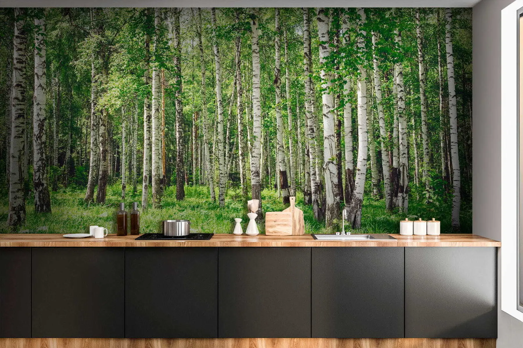 Fotobehang Berken bos u52530