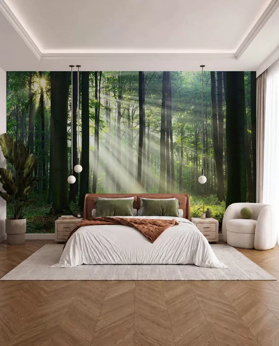 Fotobehang Zonnige stralen in het bos u56787
