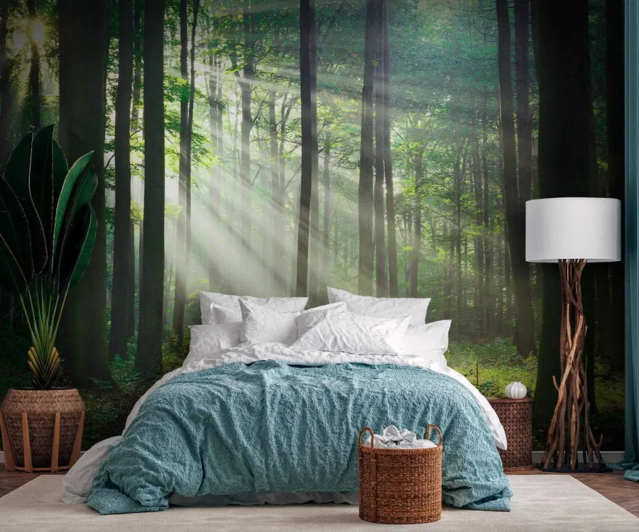 Fotobehang Zonnige stralen in het bos u56787