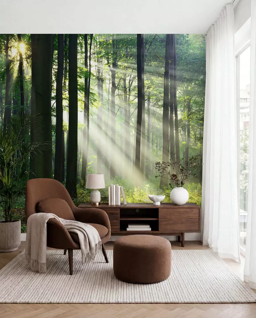 Fotobehang Zon tussen de bomen u56787