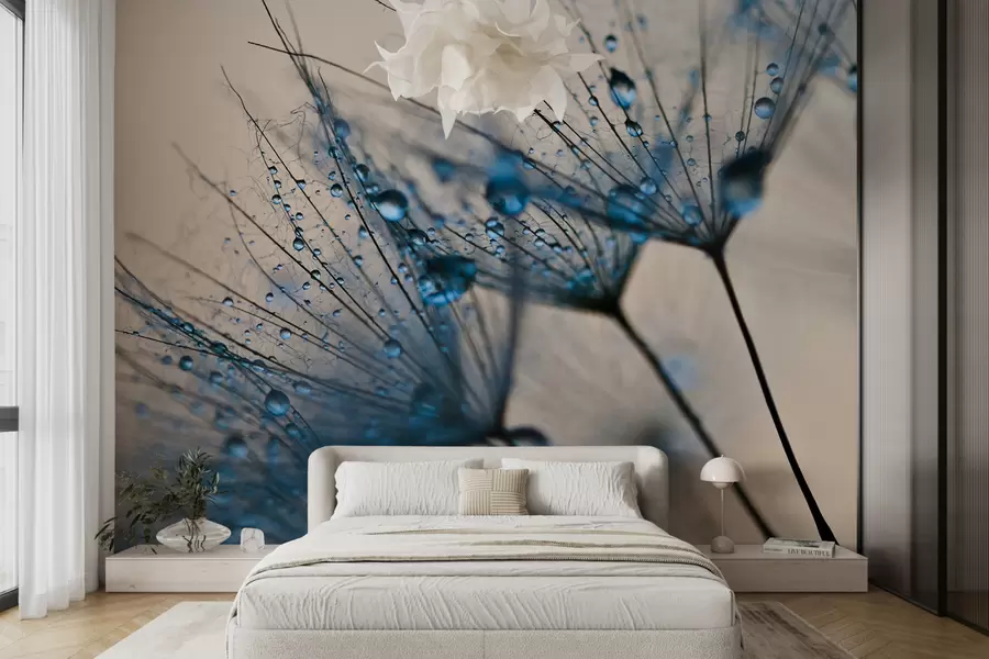 Fotobehang Paardebloemen met druppels water u57557