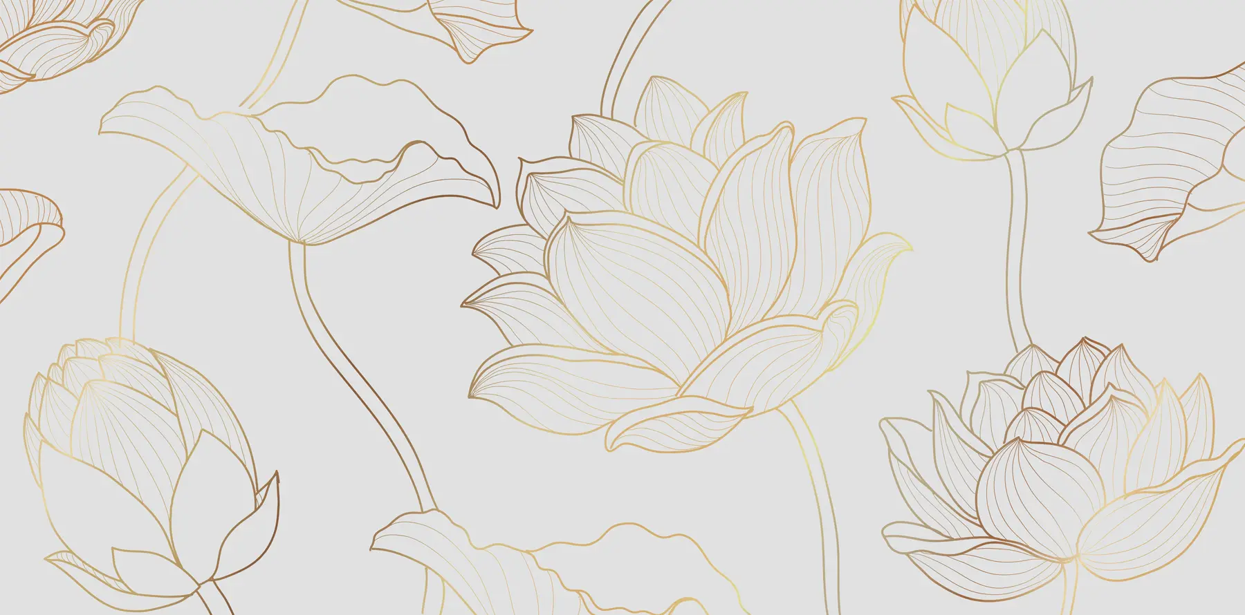 Fotobehang Lotus lijntekeningen u58166