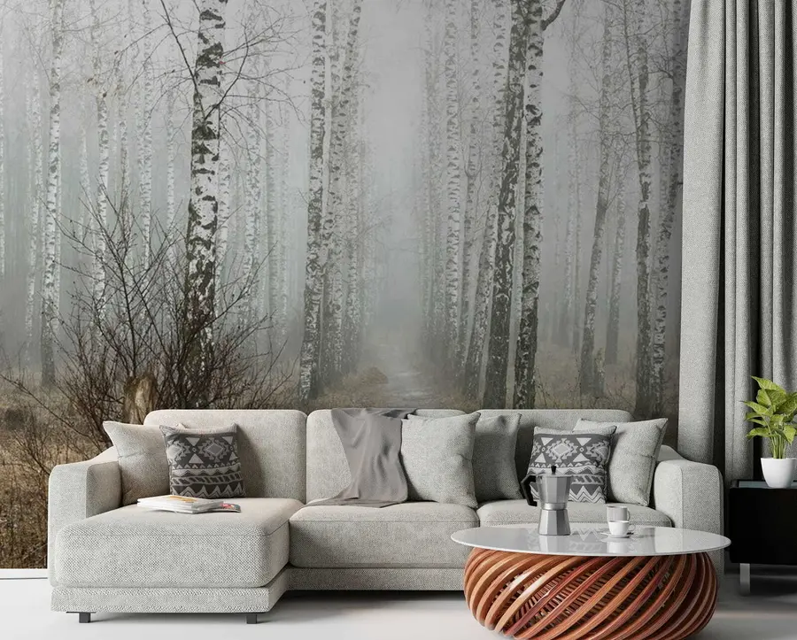 Fotobehang Berken in de mist u58950