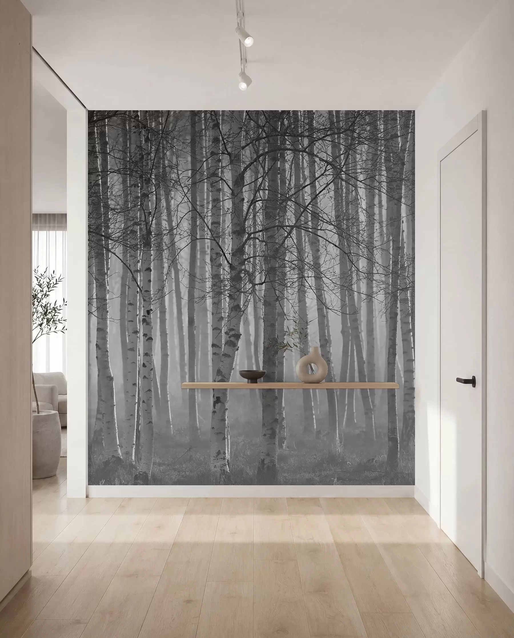 Fotobehang Ochtendmist in het berkenbos u58971