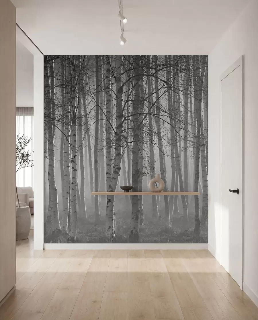 Fotobehang Ochtendmist in het berkenbos u58971