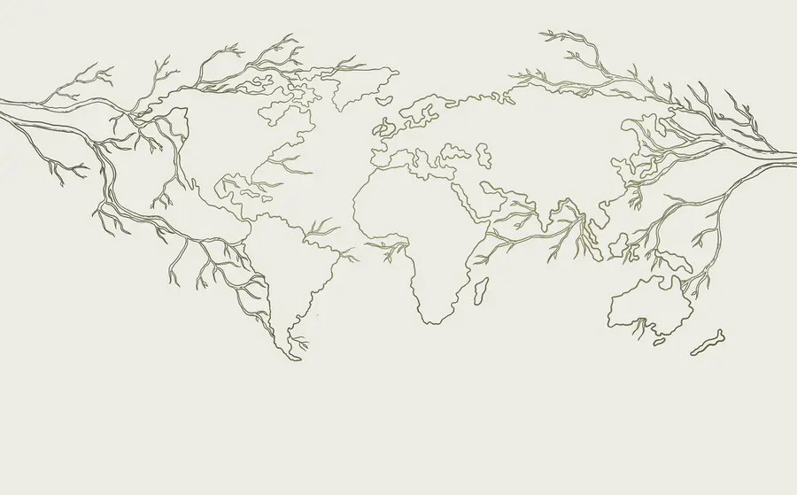 Fotobehang Wereldkaart, boomtakken, lijntekening, minimalisme, natuur, groen u99731v1