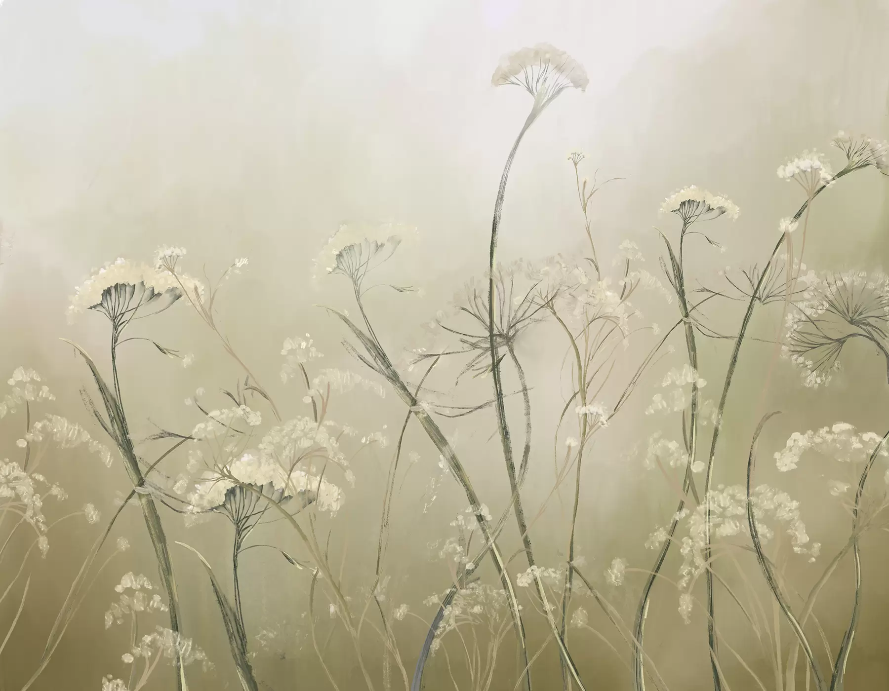 Fotobehang Witte wilde bloemen in een mistig veld met zachte, wazige sepia achtergrond w00903v1