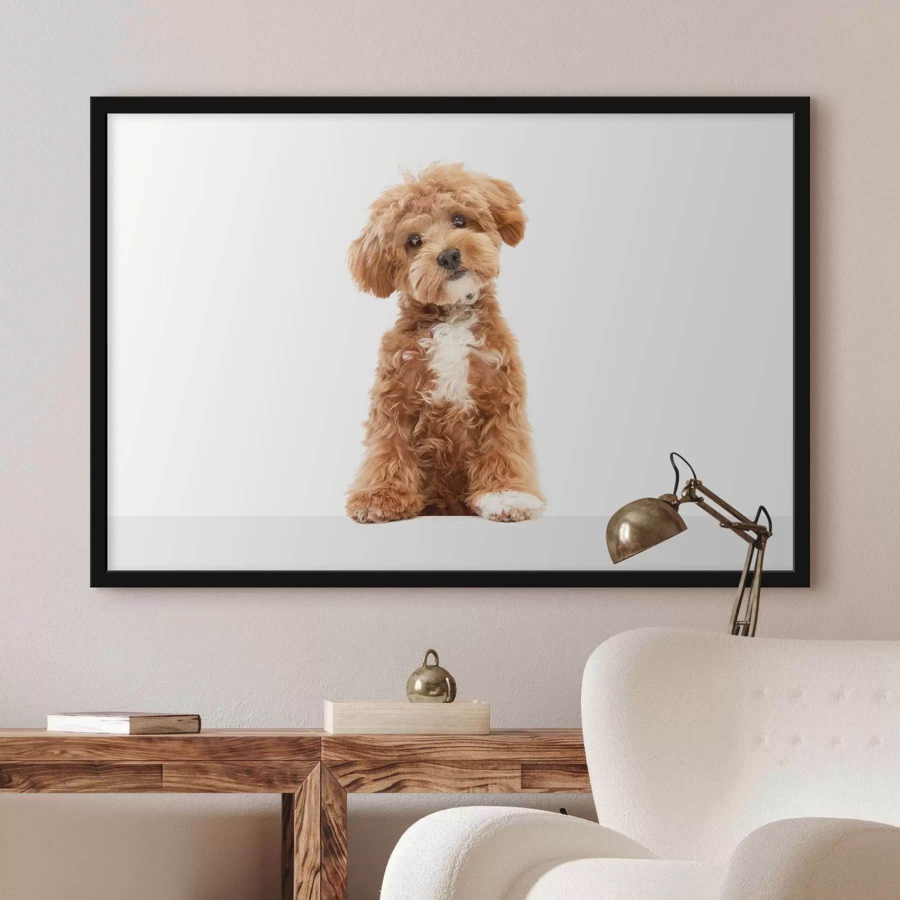 Fotobehang Schattige pup met nieuwsgierige uitdrukking f37750