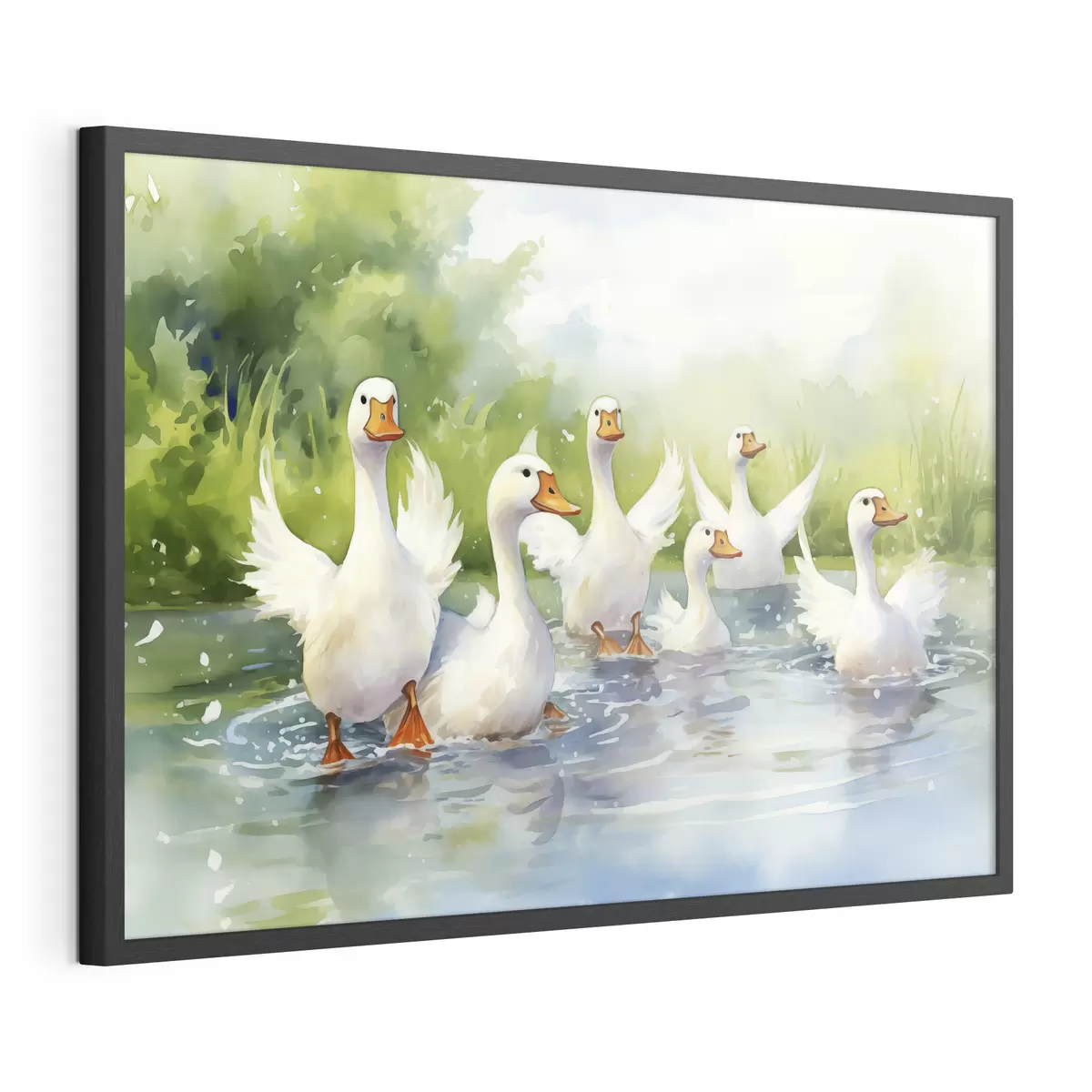 Poster Witte ganzen badend in een vijver aquarel schilderij f39939
