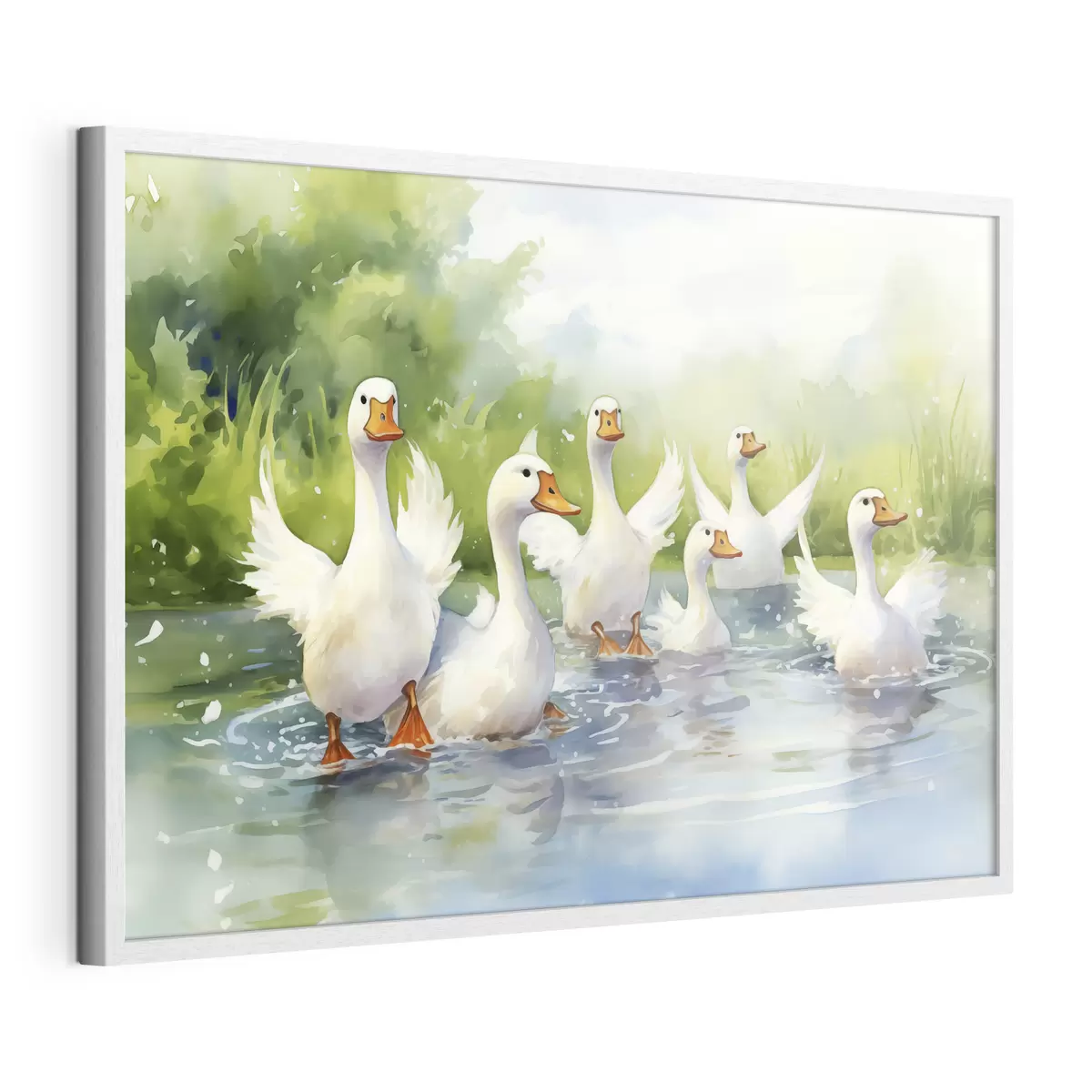 Poster Witte ganzen badend in een vijver aquarel schilderij f39939