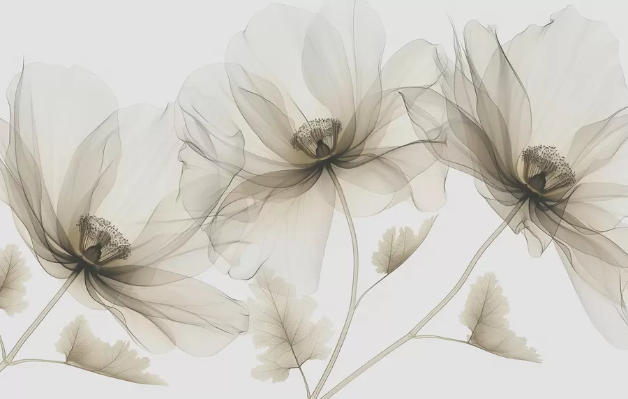 Fotobehang Bruine transparante bloem in röntgenstijl op witte achtergrond Minimalistisch monochroom botanisch ontwerp w01482v2
