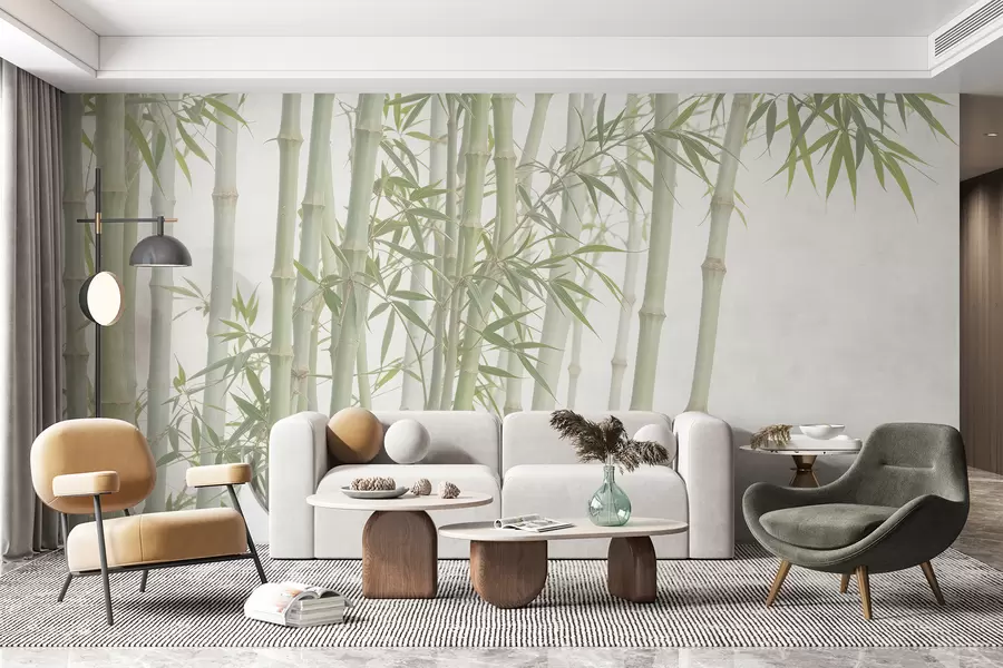 Fotobehang Een dicht bamboebos met hoge bamboestengels en groene bladeren tegen een zachte, wazige achtergrond w08237