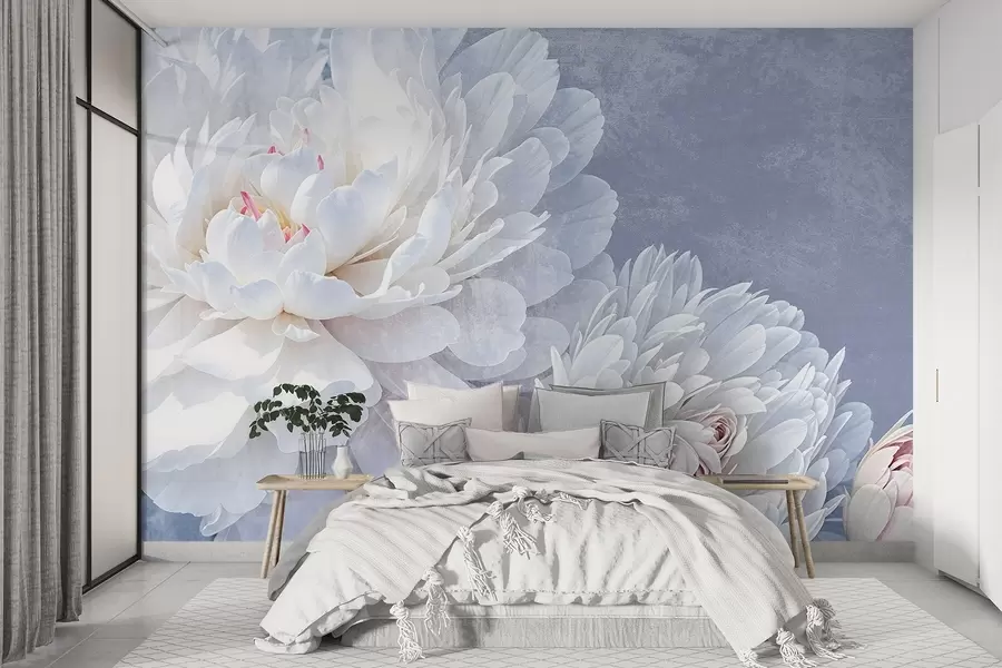 Fotobehang Witte gedetailleerde pioenbloemen met zachte, delicate bloemblaadjes tegen een licht pastelblauwe getextureerde achtergrond w08379