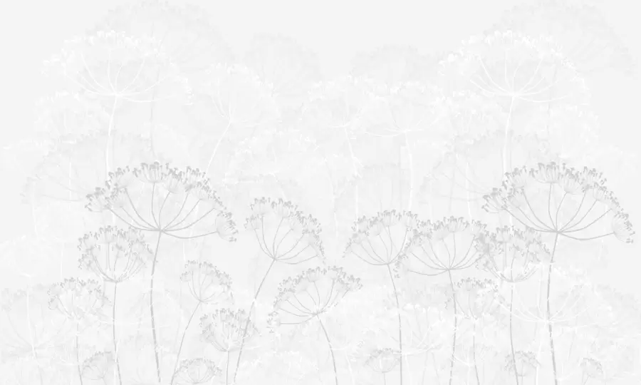 Fotobehang Breekbare planten minimalisme grijze kleur w02105v2