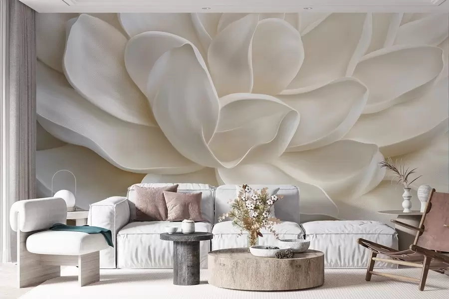 Fotobehang Een lichte vetbloem in close-up w08563