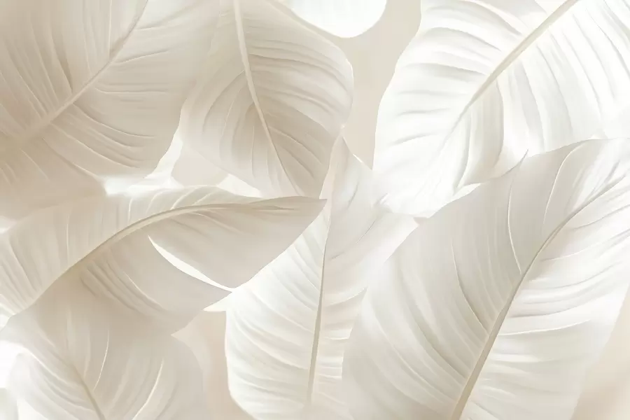 Fotobehang Grote tere bladeren w08565