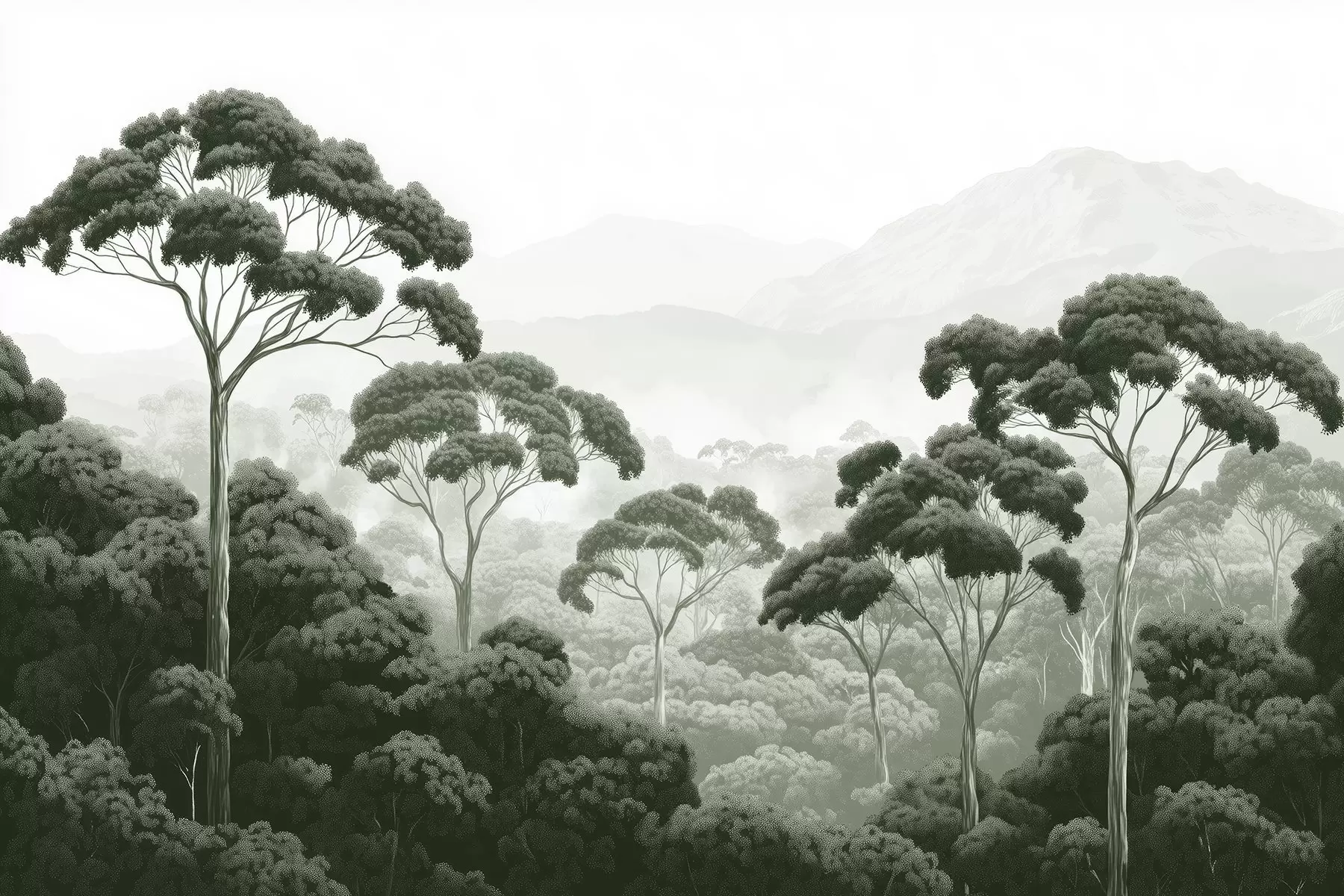 Fotobehang Junglebos, bergen, tropisch, natuur, grote bomen, donkergroene kleuren w02739v1