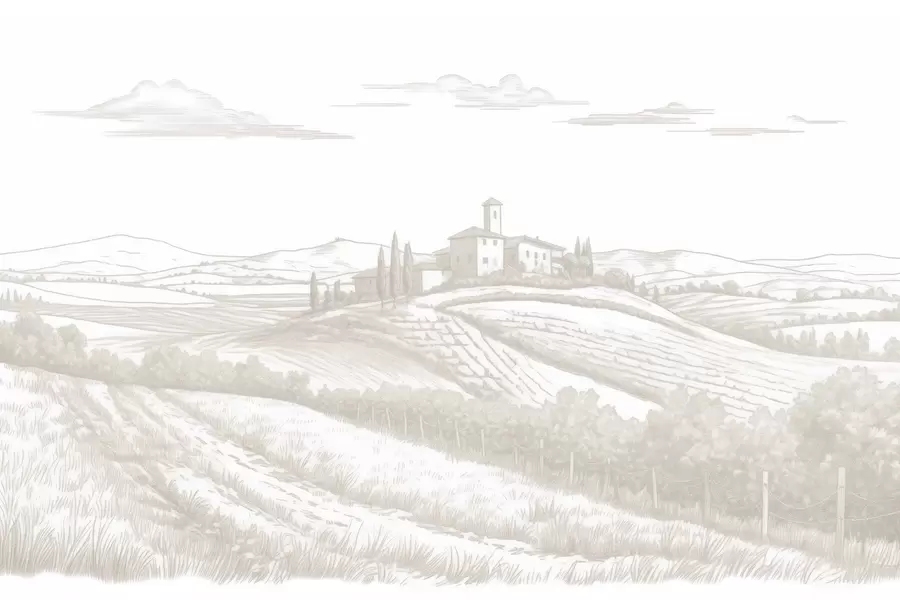 Fotobehang Toscane landschappen, Italië, wijngaarden, natuur, oud kasteel, beige kleuren w03349