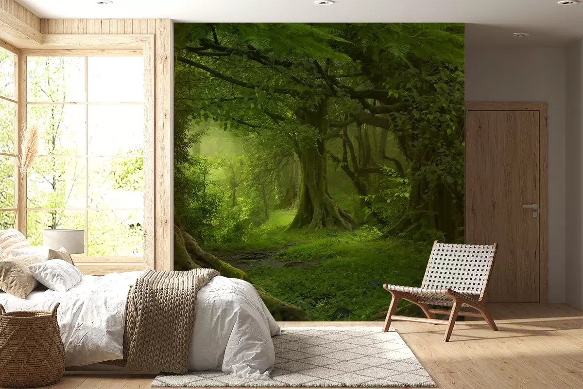 Fotobehang Oud bos u56167