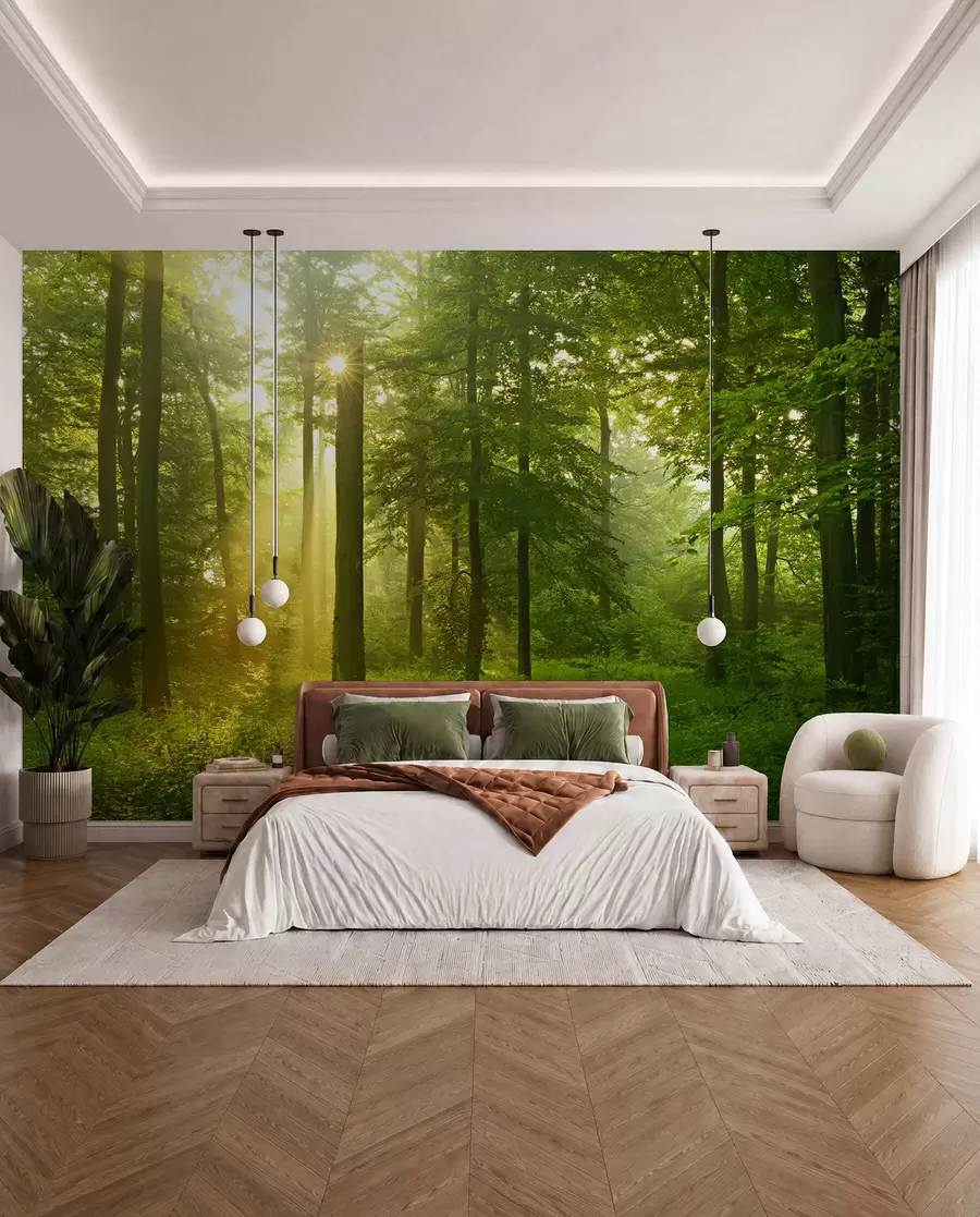 Fotobehang Stilte in het zonnige bos u57295