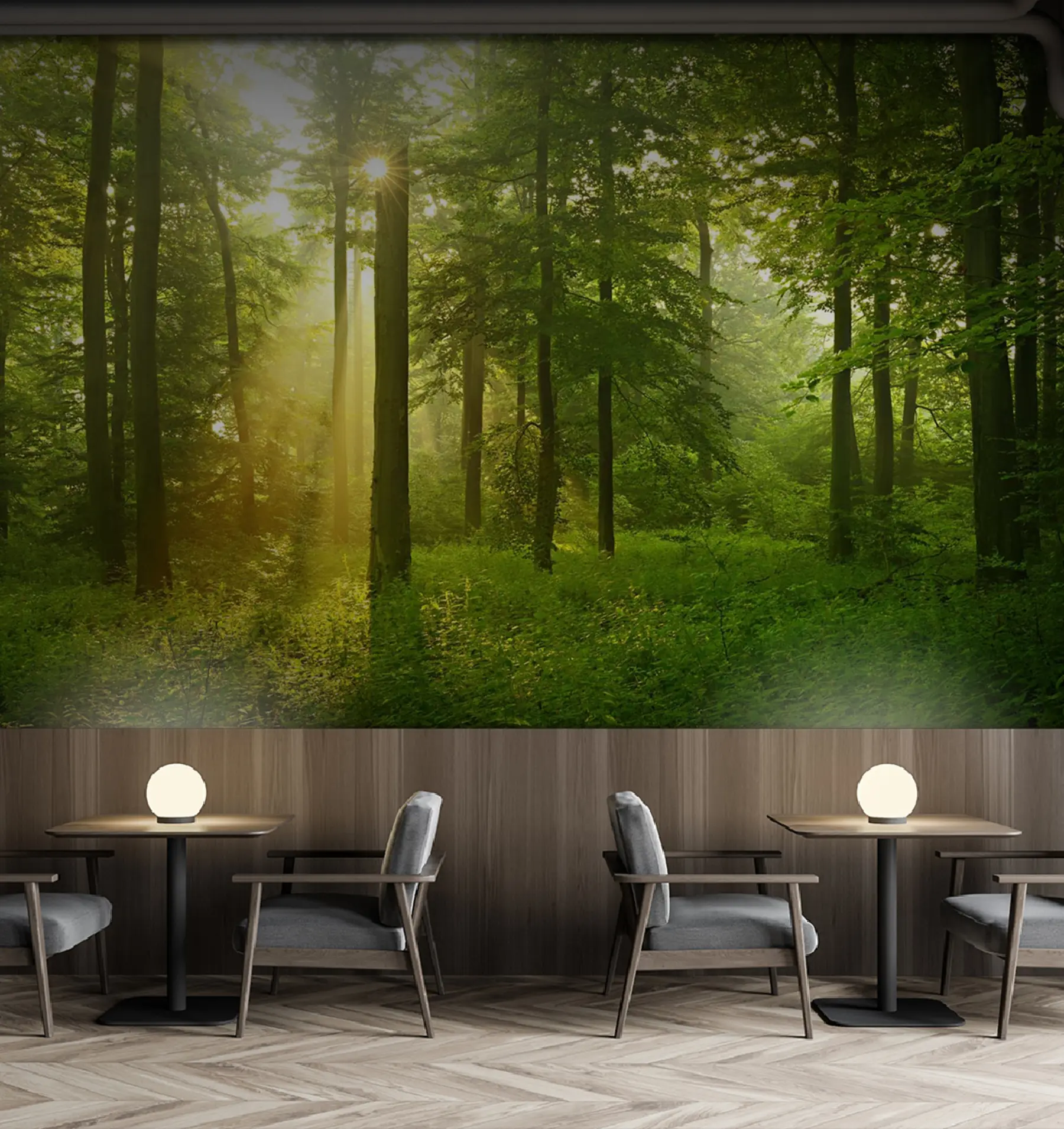 Fotobehang Stilte in het zonnige bos u57295