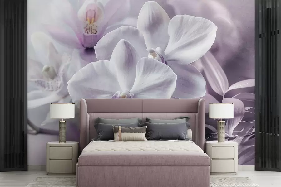 Fotobehang Witte en lila delicate orchideeënbloemen, zachte verlichting en een wazige getextureerde achtergrond  w09155