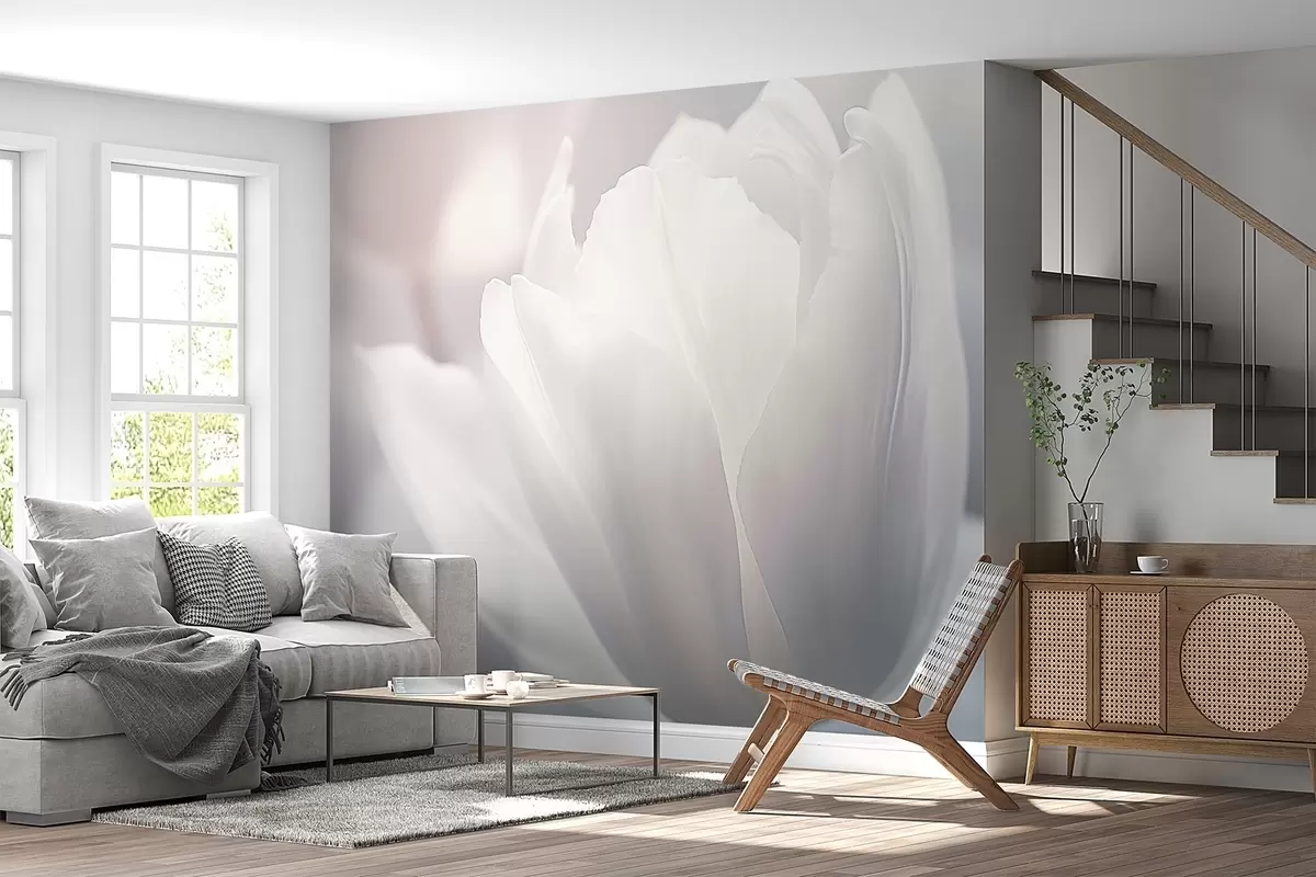 Fotobehang Tulp w04659