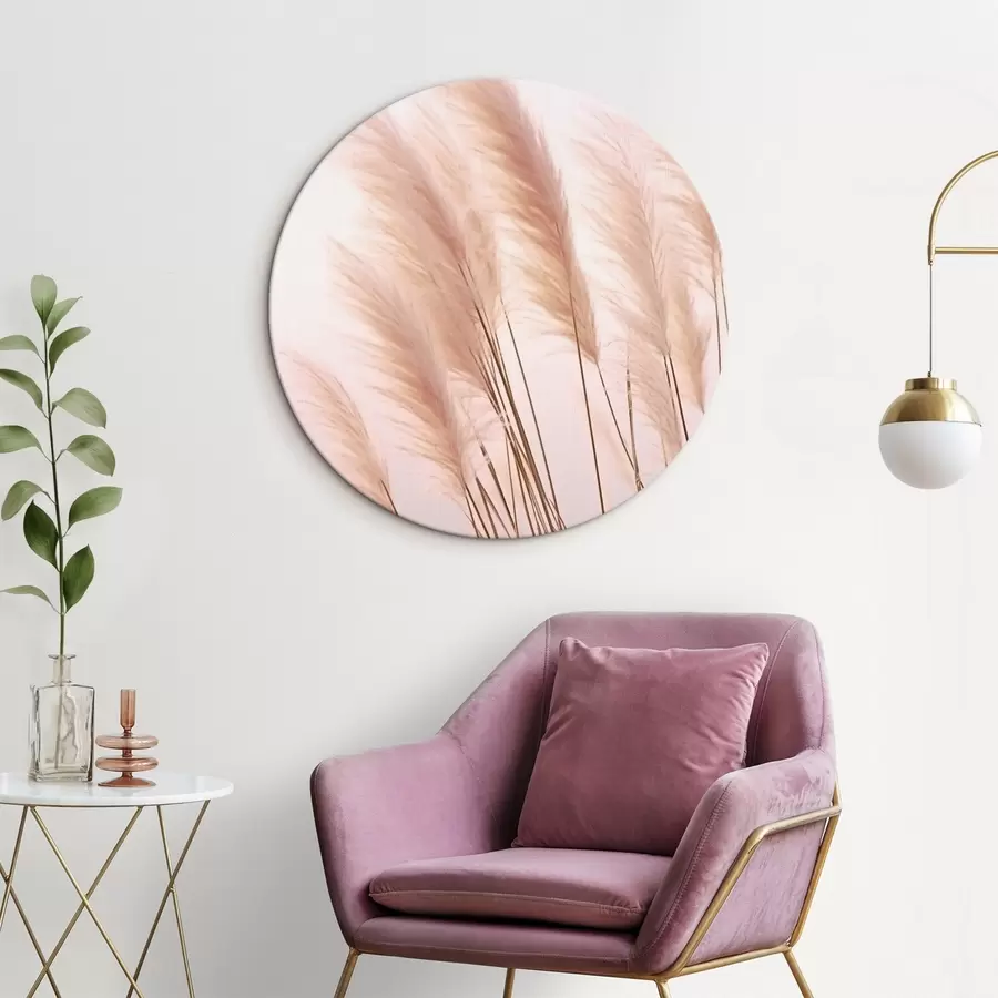  Schilderijen Lichte grassen met pluizige toppen op een bleke achtergrond r46179