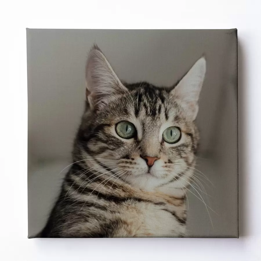  Schilderijen Romantisch cadeau voor een stel op basis van een foto s47204