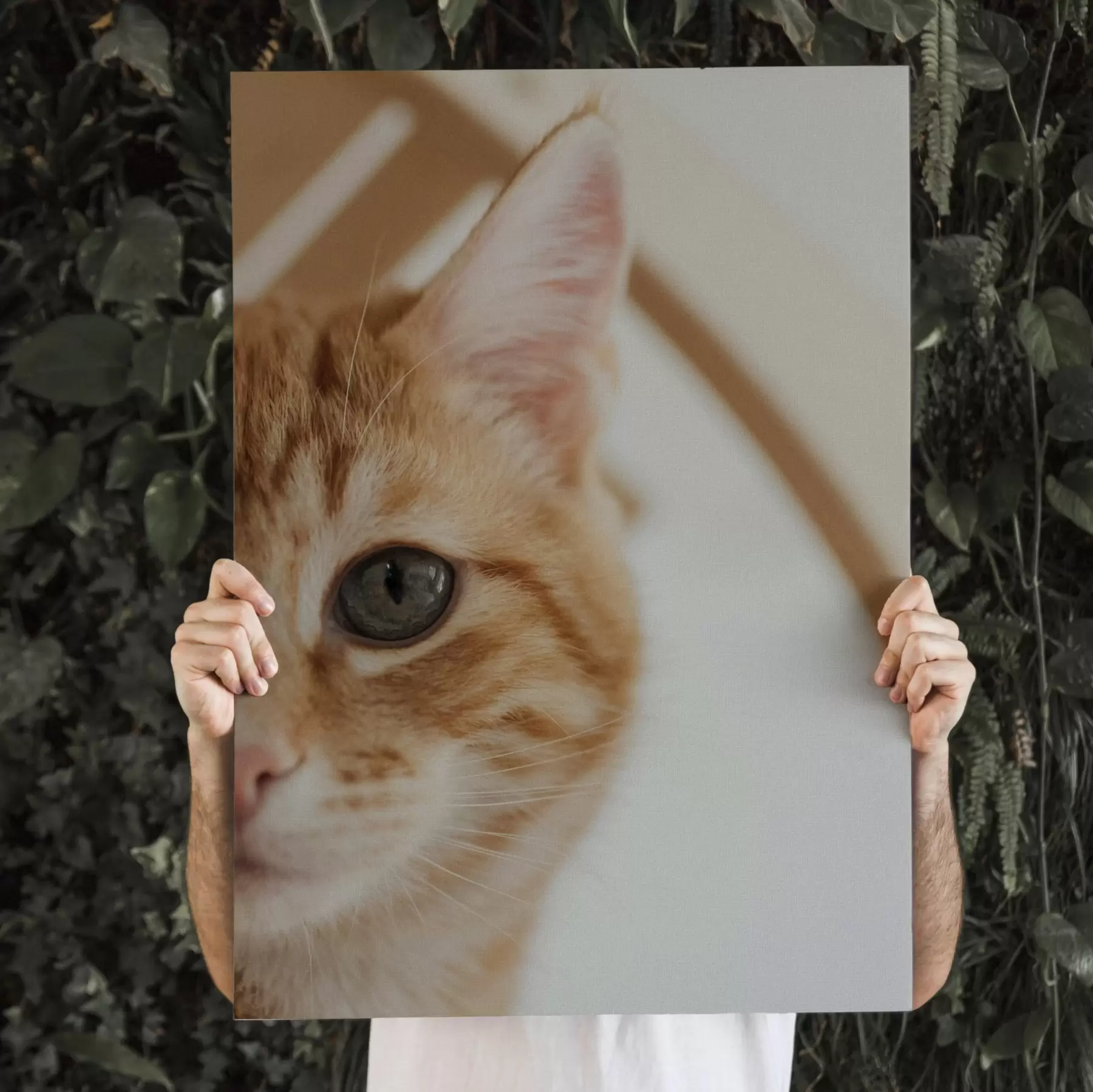  Schilderijen Foto van uw kat op canvas s47220