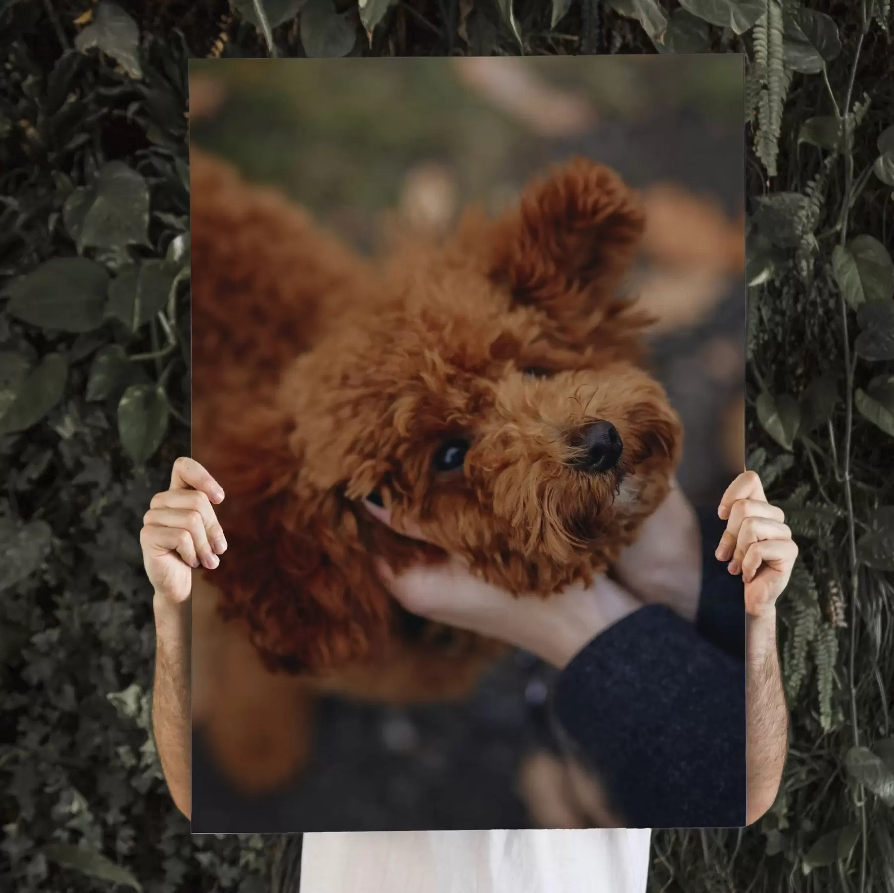  Schilderijen Uw hond op maat gemaakt op basis van uw foto s47163