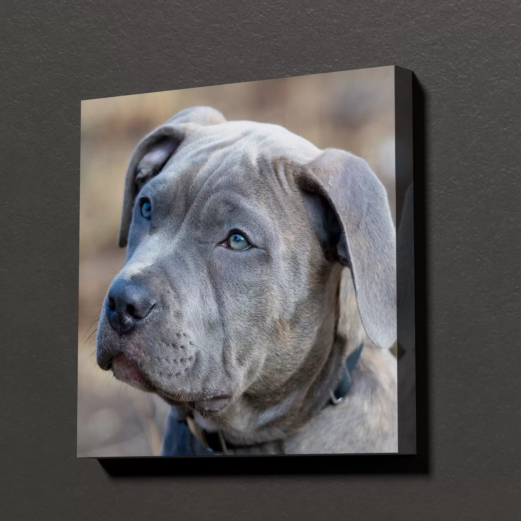  Schilderijen Uw hond op maat gemaakt op basis van uw foto s47170