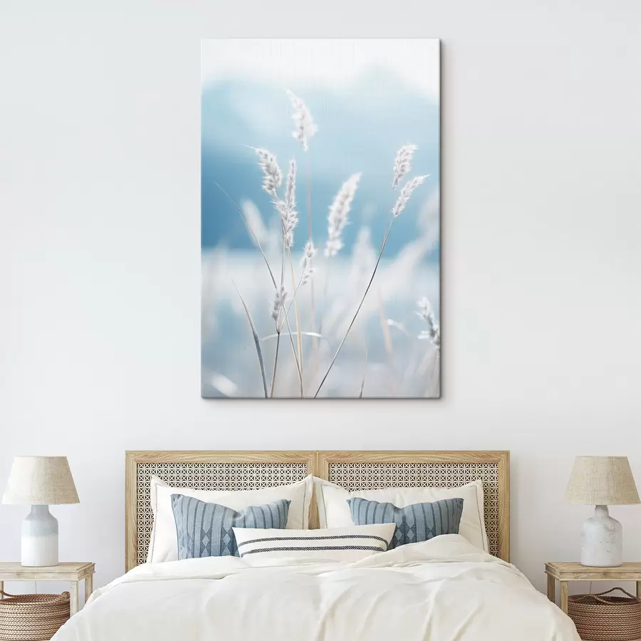  Schilderijen Wit pluizig gras tegen een zachtblauwe lucht, met een geringe scherptediepte s47880