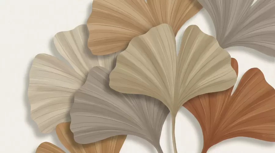 Fotobehang Grote bladeren w05288