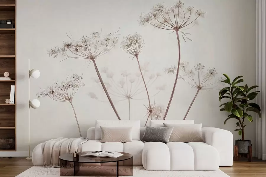 Fotobehang Gedroogde bloemschermen tegen een lichte, minimalistische achtergrond w05543
