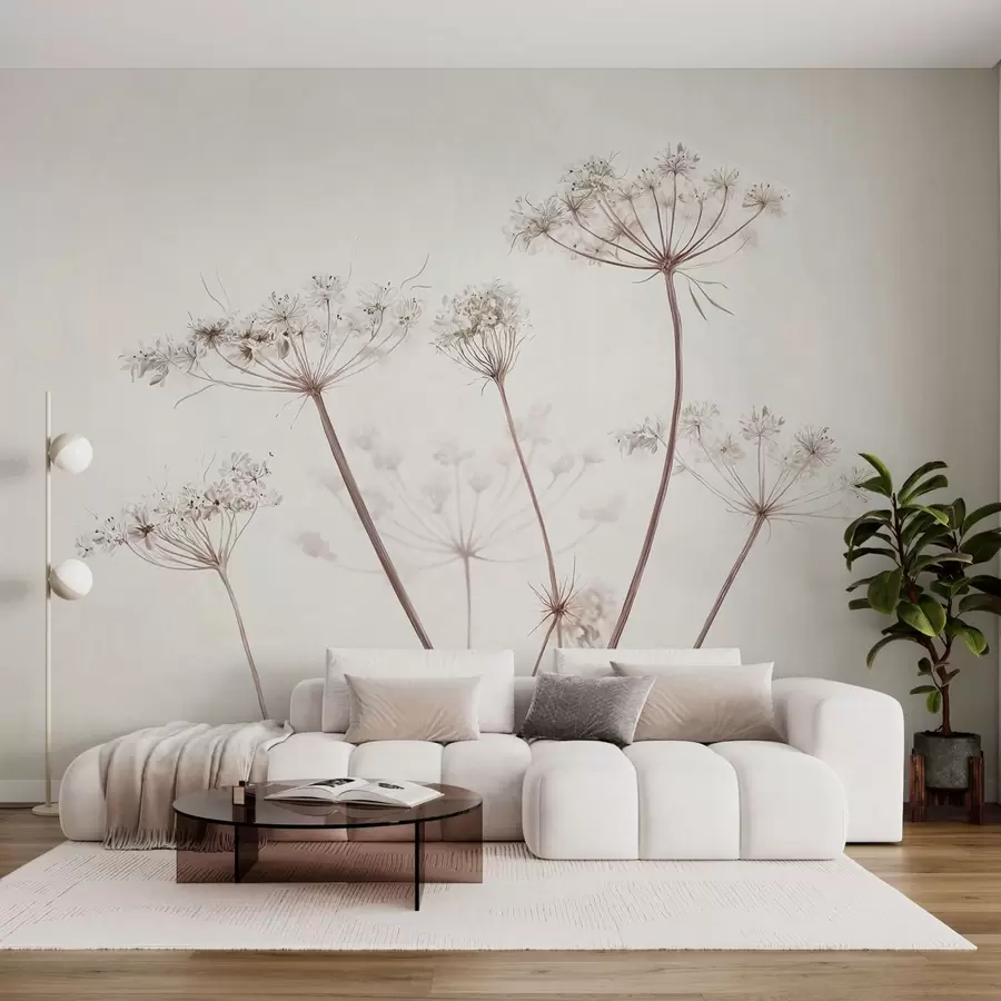Fotobehang Gedroogde bloemschermen tegen een lichte, minimalistische achtergrond w05543