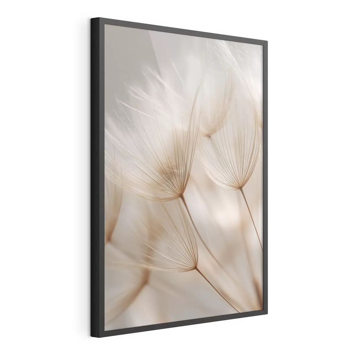 Poster Luchtpaardenbloem f49428
