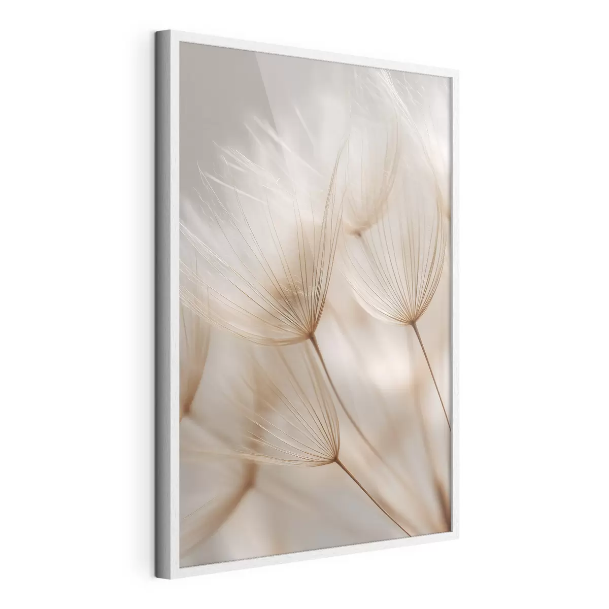 Poster Luchtpaardenbloem f49428