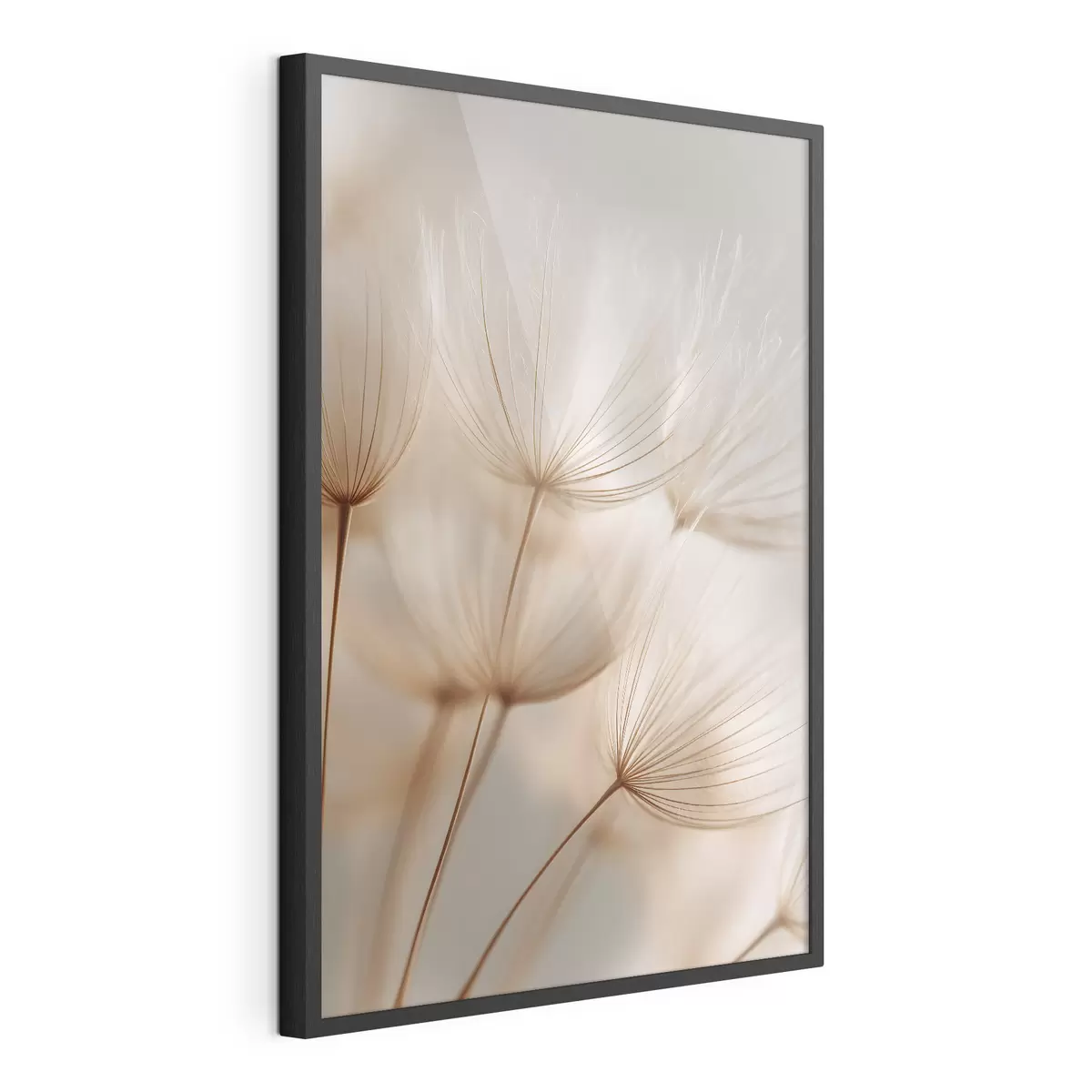 Poster Luchtpaardenbloem f49429