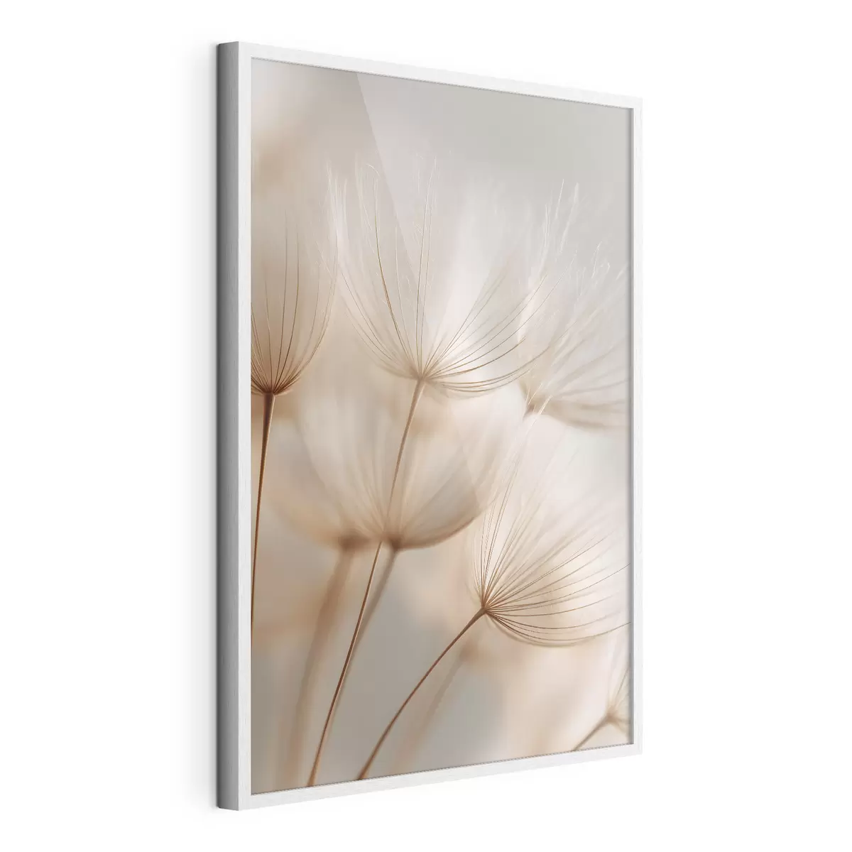 Poster Luchtpaardenbloem f49429
