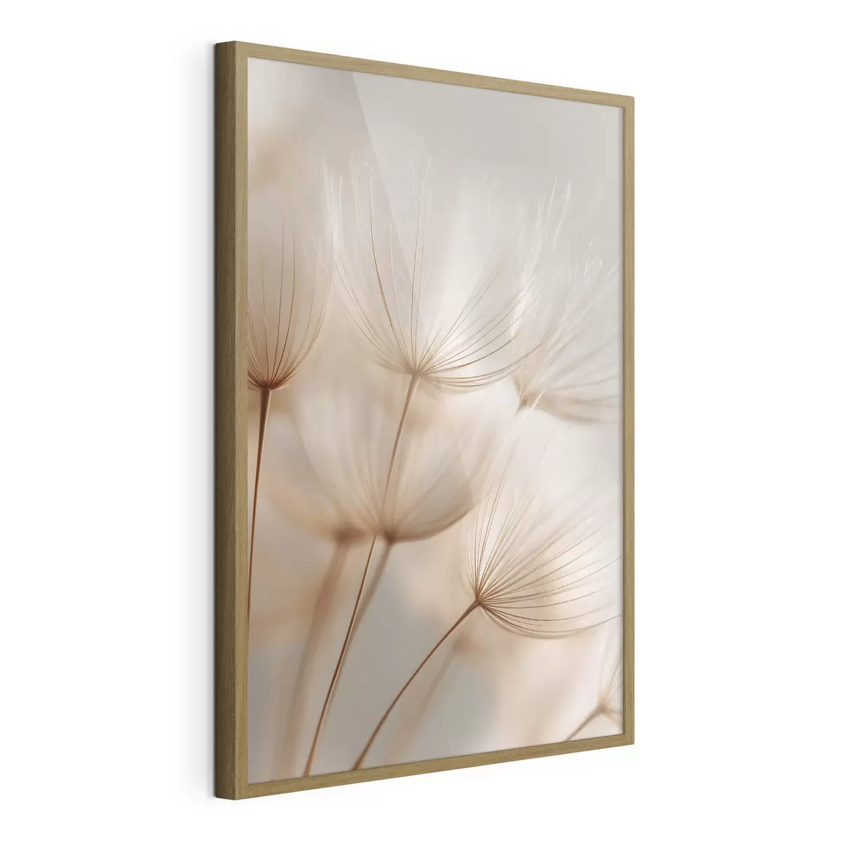 Poster Luchtpaardenbloem f49429