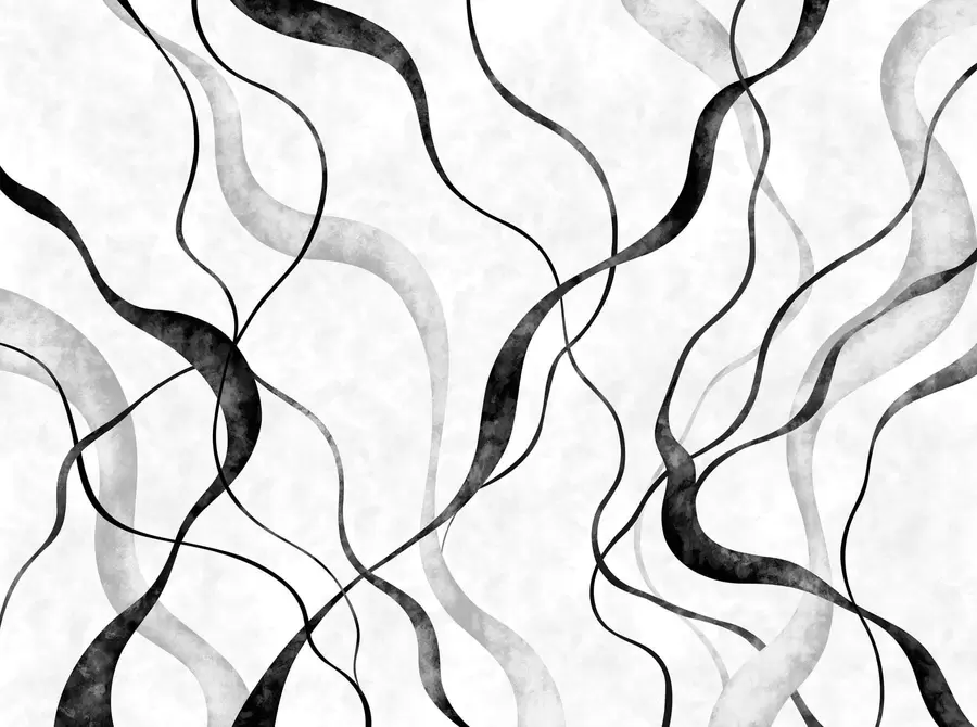 Fotobehang Abstracte, vloeiende lijnen in monochrome tinten w05699