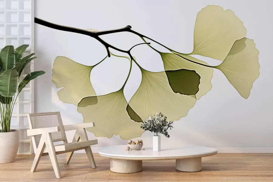 Fotobehang Ginkgo-waaierbladeren w09968