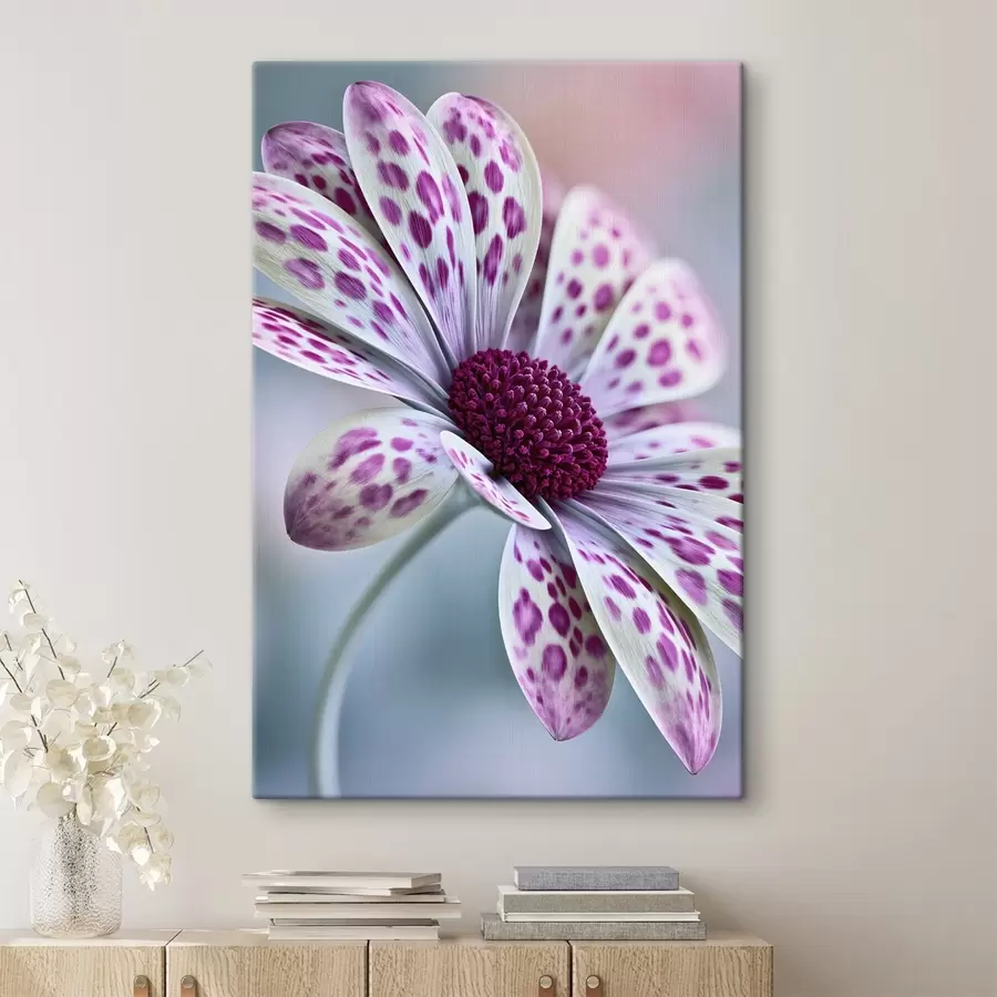  Schilderijen Een bloem die op een madeliefje lijkt, met levendige magenta luipaardvlekken s49866
