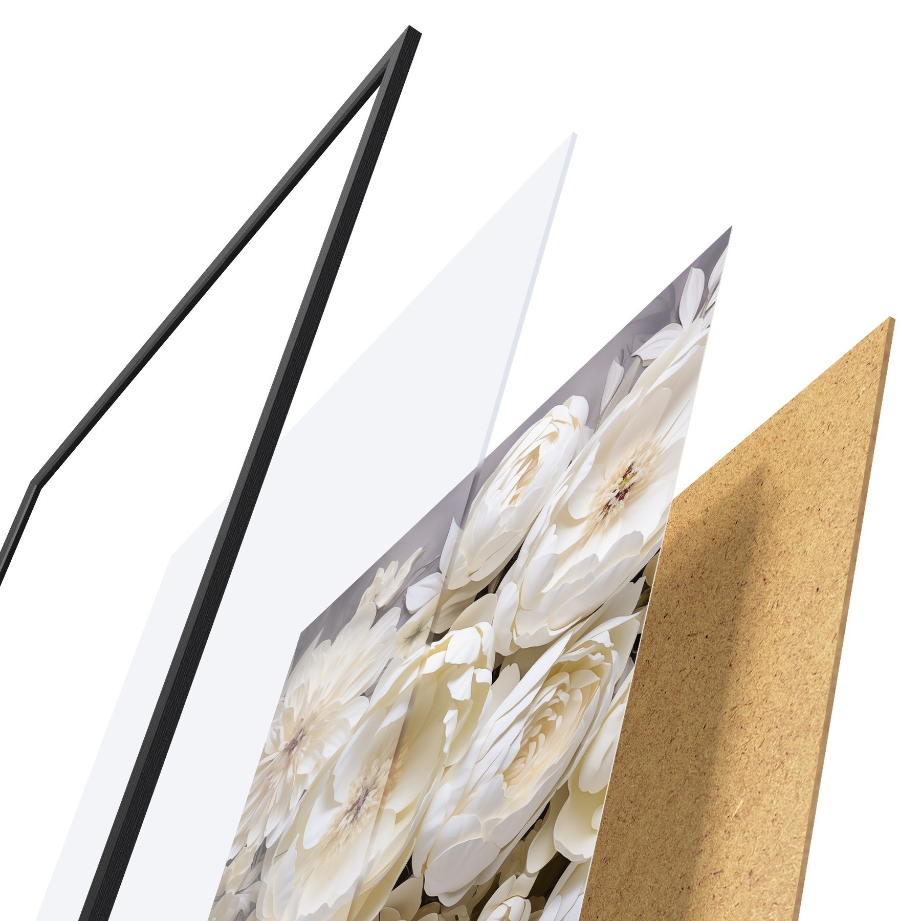 Poster Witte pioenrozen f50034
