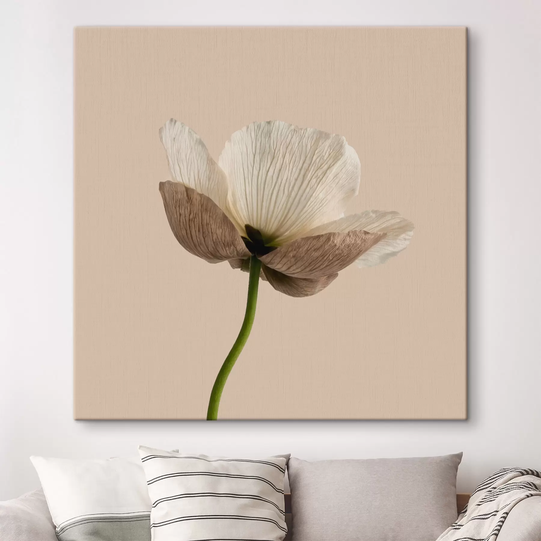 Schilderijen Een delicate bloem met doorschijnende bloemblaadjes op een beige achtergrond in minimalistische stijl s49718